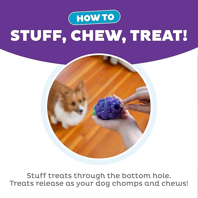 Outward Hound Dental Grapes Dog Toy & Treat Stuffer, 6″ x 3″ Grape-Scent Interactive Chew for Dogs, Helps Clean Teeth, Promote Healthy Gums & Mental Enrichment, Reduce Boredom & Support Dental Health