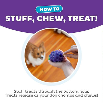 Outward Hound Dental Grapes Dog Toy & Treat Stuffer, 6″ x 3″ Grape-Scent Interactive Chew for Dogs, Helps Clean Teeth, Promote Healthy Gums & Mental Enrichment, Reduce Boredom & Support Dental Health