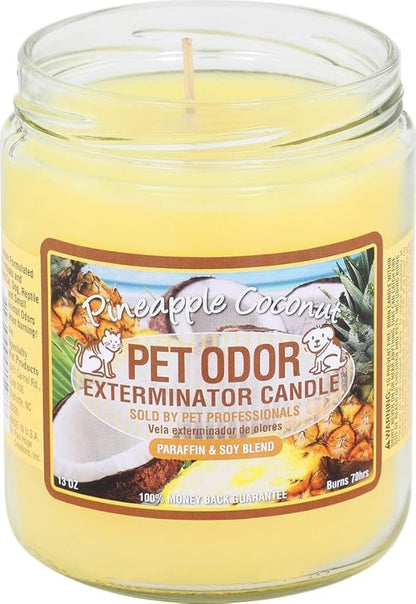 Pet Odor Exterminator Candle, Pineapple & Coconut - Pack of 2