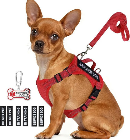 Service Dog Vest for Small Breed Dogs with ID Tag – Lightweight Puppy Harness and Leash Set with 6 PCS Patches, Ideal Service Animal Vest for Training, Complete Service Dog Gear, Red, M