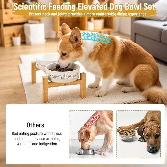 Elevated Ceramic Dog Bowls with Wooden Stand，6.1inch Raised Dog Bowls with Cute Pattern for Small and Medium Breed Dogs,2 Pack Dogs Food and Water Bowl Set,Weighted Pet Dishes Dishwasher Safe