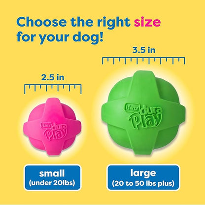 Hartz DuraPlay Bacon Scented Dog Toys, Large 1 Count, Colors may vary