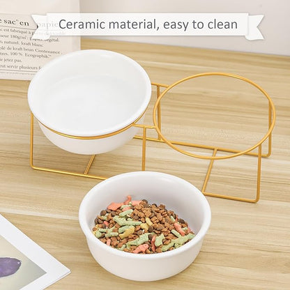 Large Small Double Elevated Dog Bowls - Raised Dog Bowl - Ceramic Dog Cat Bowl Set for Food and Water - Pet Comfort Feeding Bowls with Gold Iron Stand