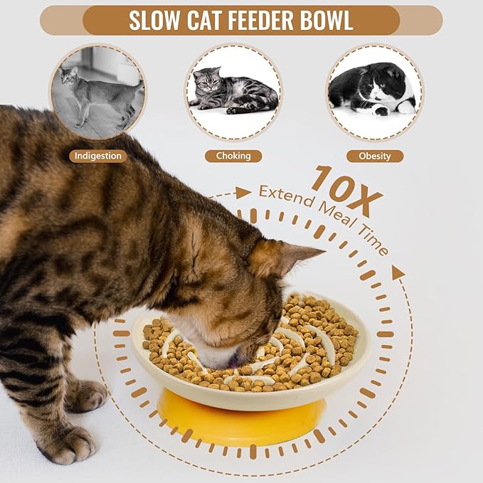 Elevated Slow Feeder Cat Bowls, Ceramic Cat Slow Feeder Bowl with Bamboo Stand, 5.9 Inch Wide Shallow Cats Bowl Whisker Friendly, Anti Vomiting Puzzle Feeder for Dry or Wet Food Dishwasher Safe