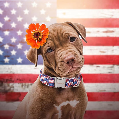 Unique style paws Independence Day Dog Collar Metal Buckle Wave Flag Collar Gift Durable Cute Collar for Small Medium Large Boys Girls Dogs