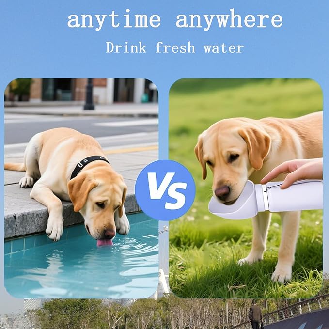 Slurpy Portable Collapsible Dog Water Bottle 19 Oz, Large Wide-Mouth Drinking Bowl, Ideal for Small and Large Dogs on Walks and Outdoor Activities (Gray)