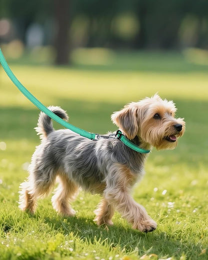 Joytale Dog Collars for Small Dogs, Feather-Light Double-Sided Reflective Nylon Collar for Night Safety, Adjustable Quick-Release for Growing Puppies, Teal, S (5/8" Width)