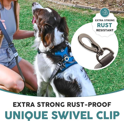 Embark Adventure Dog Leash – Strong & Durable, Colorful, 5 Ft, Suitable for Small, Medium & Large Dogs, Blue