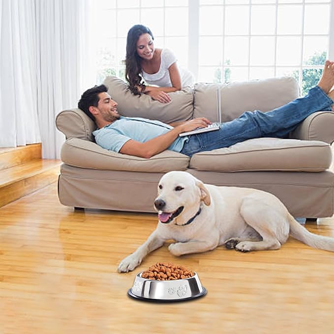10 Pcs Stainless Steel Dog Bowl Pet Feeding Bowl with Rubber Base Non-Slip Pet Dishes Metal Dog Bowls Pet Food and Water Bowls for Small Medium Animals Kitten Rabbit (7 oz)