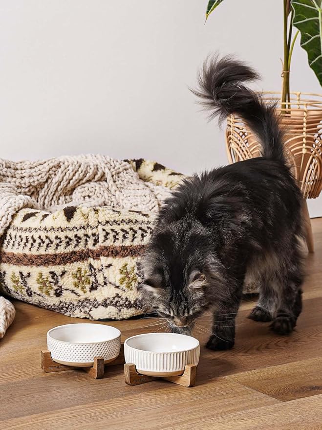 LE TAUCI PET Dog and Cat Bowl Set with Acacia Wood Stand - 2 Cup Ceramic Puppy Bowls for Cats &Small Dogs, Dual Food and Water Bowls with Weighted Non-Slip Base, Lines+Dot