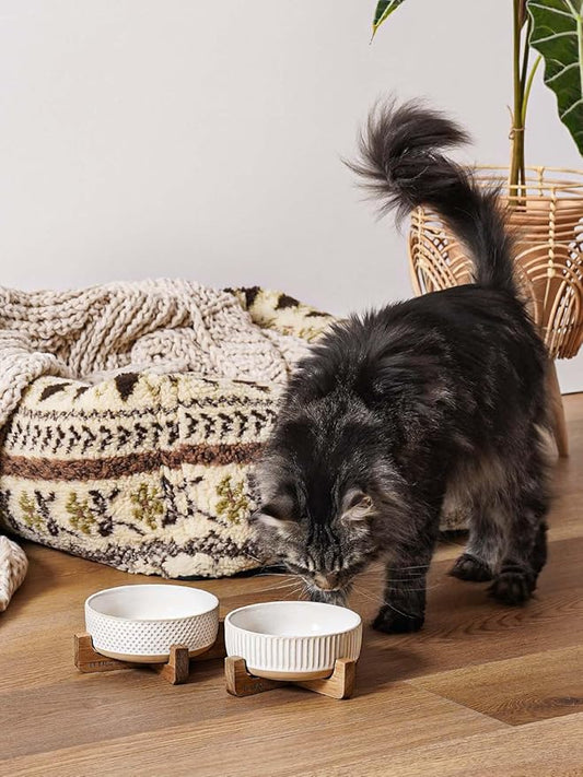 LE TAUCI PET Dog and Cat Bowl Set with Acacia Wood Stand - 2 Cup Ceramic Puppy Bowls for Cats &Small Dogs, Dual Food and Water Bowls with Weighted Non-Slip Base, Lines+Dot