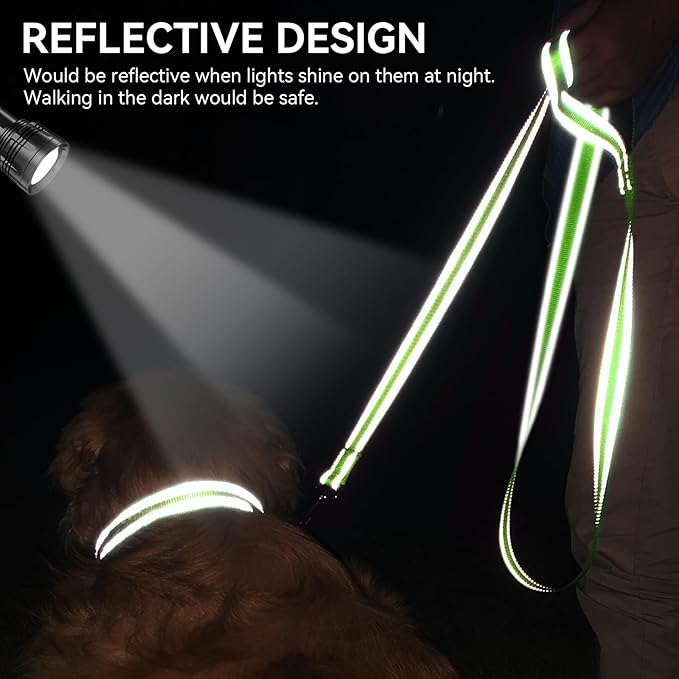 Joytale Dog Leash, 4 FT Double-Sided Reflective, Padded Handle Nylon Heavy Duty Leashes for Medium & Large Dogs Walking, Green
