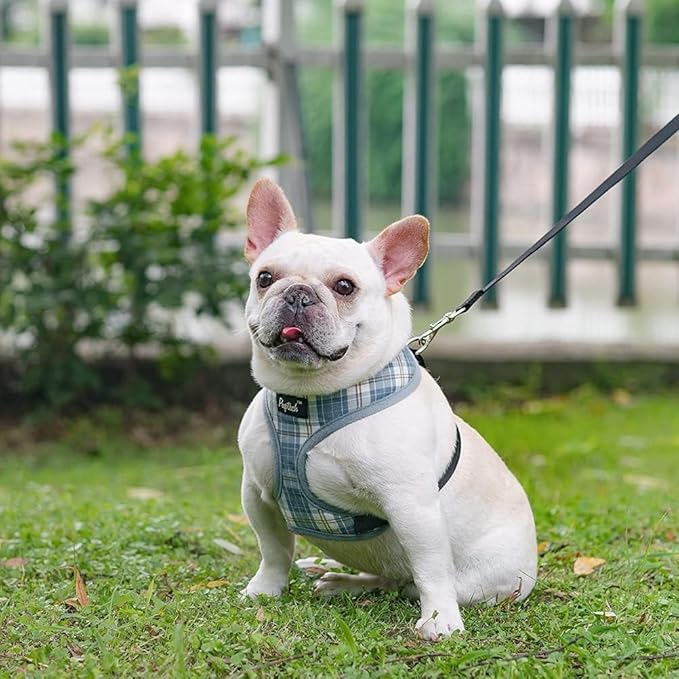 PUPTECK Soft Mesh Dog Harness and Leash Set Pet Puppy Cat Comfort Padded Vest No Pull Harnesses, Sky Blue, L