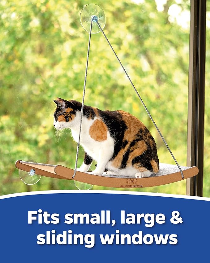 Cat Window Hammock for Large Cats – Strong Suction Cup Cat Window Perch Bed, Durable Eco, Washable Cover, Space Saving Window Seat for Indoor Cats (XL)