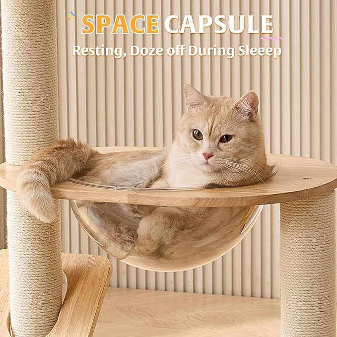 HITTITE Solid Wood Cat Tree Tower with Scratching Post, 37.8 Inches Tall Cat Towers with Scratching Board and Scratcher Ball, Modern Cat Tower With Space Capsule and Removable Top Bed for Indoor Cats.