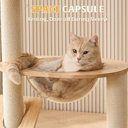 HITTITE Solid Wood Cat Tree Tower with Scratching Post, 37.8 Inches Tall Cat Towers with Scratching Board and Scratcher Ball, Modern Cat Tower With Space Capsule and Removable Top Bed for Indoor Cats.
