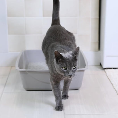Petmate Open Cat Litter Box; Large Nonstick Litter Pan Durable Standard Box, Grey Great for Small & Large Cats Easy to Clean; Made in USA