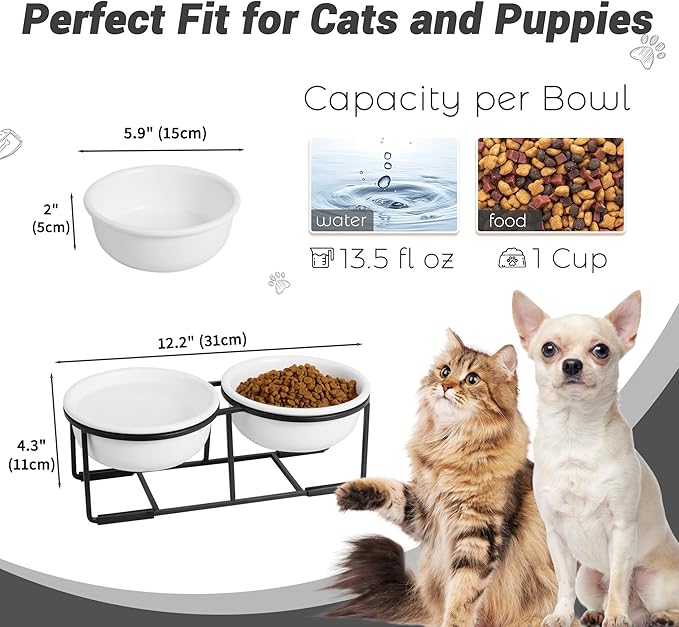 Ceramic Elevated Dog Bowl Set - Double Dog Food and Water Bowls with Metal Stand - Raised Pet Dishes for Puppies and Cats - 1 Cup - 13.5 fl oz - Matte White