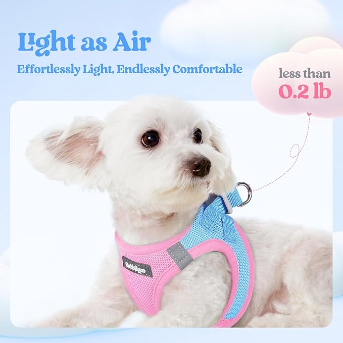 rabbitgoo Dog Harness Small Sized and Leash Set, Step in Soft Light Puppy Vest, Breathable Mesh Pet Harness, Reflective for Safe Easy Walking, Blue & Light Pink M