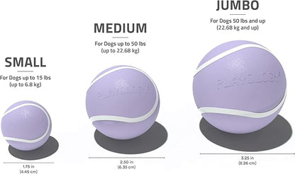 Playology Dog Toys | Squeaky Chew Ball - Bouncy Durable Floating Fetch Ball for Dogs | Jumbo Lamb Scented Toy - Easy to Clean and Made from Non Toxic Materials