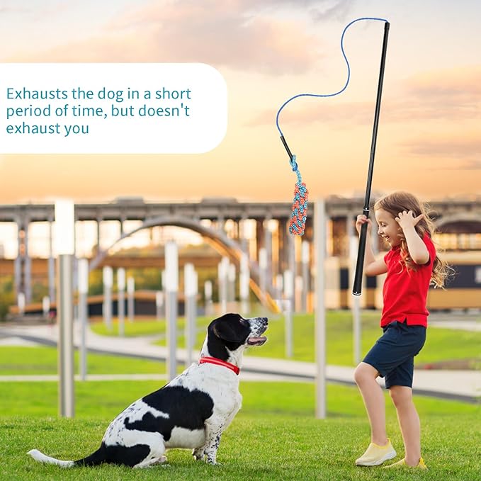 Flirt Pole Dogs Interactive Dog Toys for Large、Medium and Small Dogs for Chasing、Tug of War, Dog Chew Toys with Springs for Outdoor Exercise and Training