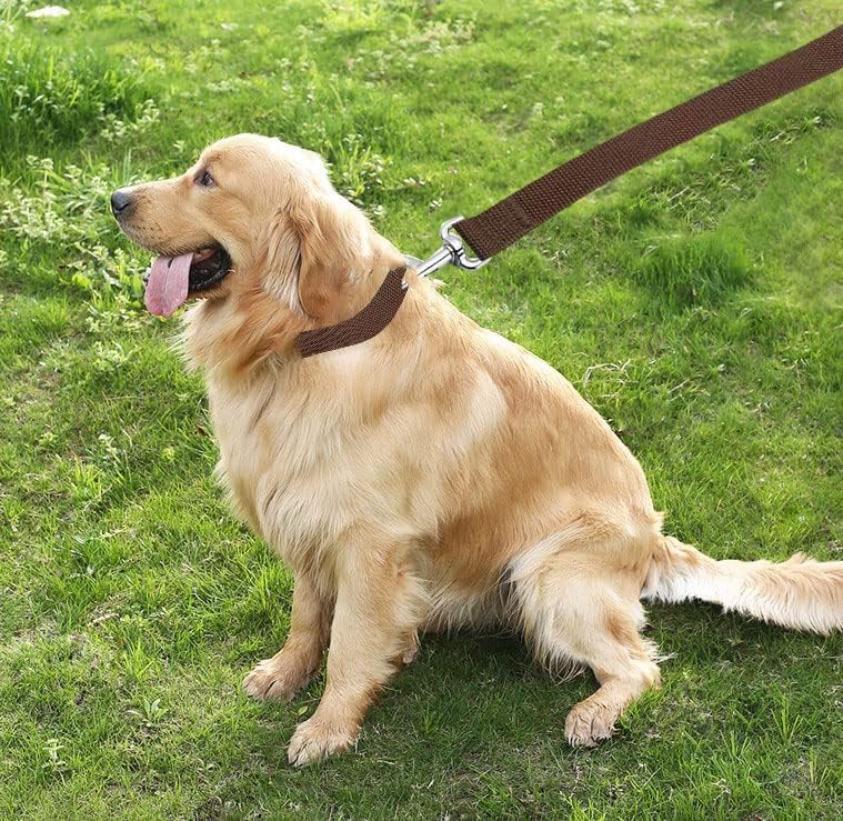 TAIAN 4FT/5FT/6FT Strong Dog Leash, Nylon Dog Leashes for Small Medium Large Dogs (5/8 in x 5 ft, Brown) - Image 7