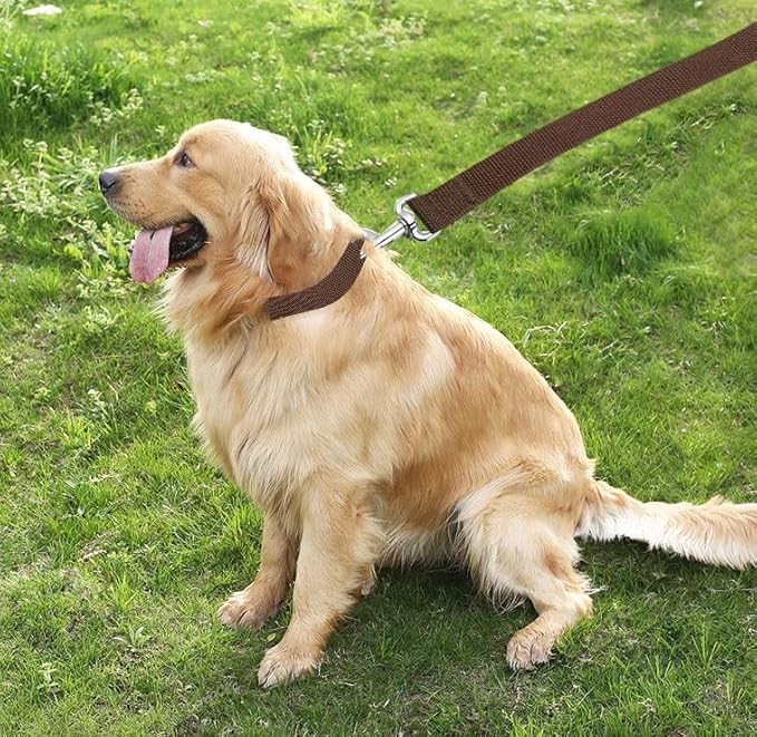 TAIAN 4FT/5FT/6FT Strong Dog Leash, Nylon Dog Leashes for Small Medium Large Dogs (1 in x 4 ft, Brown)