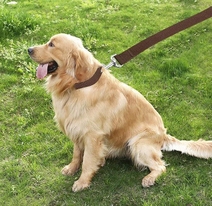 TAIAN 4FT/5FT/6FT Strong Dog Leash, Nylon Dog Leashes for Small Medium Large Dogs (3/4 in x 5 ft, Brown)