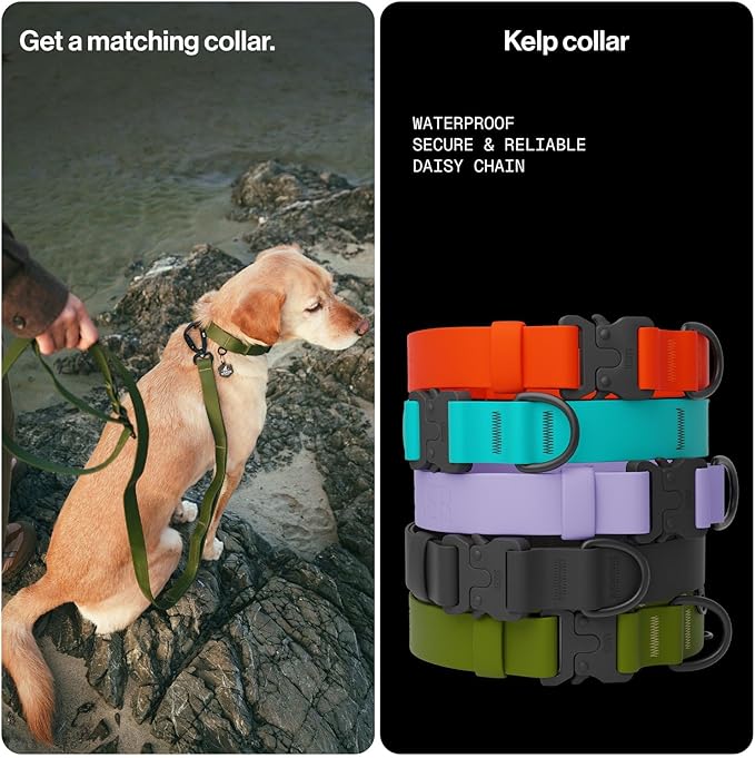 Säker Kelp™ Waterproof Dog Leash – Heavy Duty, Odor-Proof, Adjustable 4–6 ft Long Dog Leash with Twist-Lock Carabiner, 3 Traffic Handles, Hands-Free Option, Aluminum Hardware