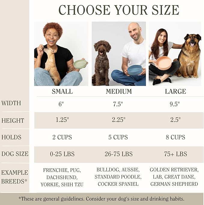 Should We Go? Dog Water Bowl - The Perfect Dish No-Spill, Less Mess Non-Tippable Water & Food Bowl, Pure Silicone with Suction Cup Fits 5 Cups 7.5" Across x 2.25" Tall, Ideal for All Pets, Medium-Sage