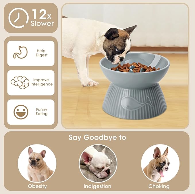 Elevated Slow Feeder Bowl for Cats and Small Dog, Stop Vomiting & Choking, Ceramic Slow Cat Bowl, Spill-Proof & Anti-Tipping, Easy to Clean, No Black Chin, Raised Pet Bowl for Dry & Wet Food