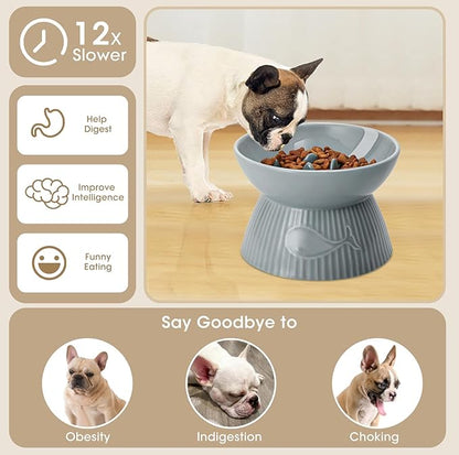 Elevated Slow Feeder Bowl for Cats and Small Dog, Stop Vomiting & Choking, Ceramic Slow Cat Bowl, Spill-Proof & Anti-Tipping, Easy to Clean, No Black Chin, Raised Pet Bowl for Dry & Wet Food