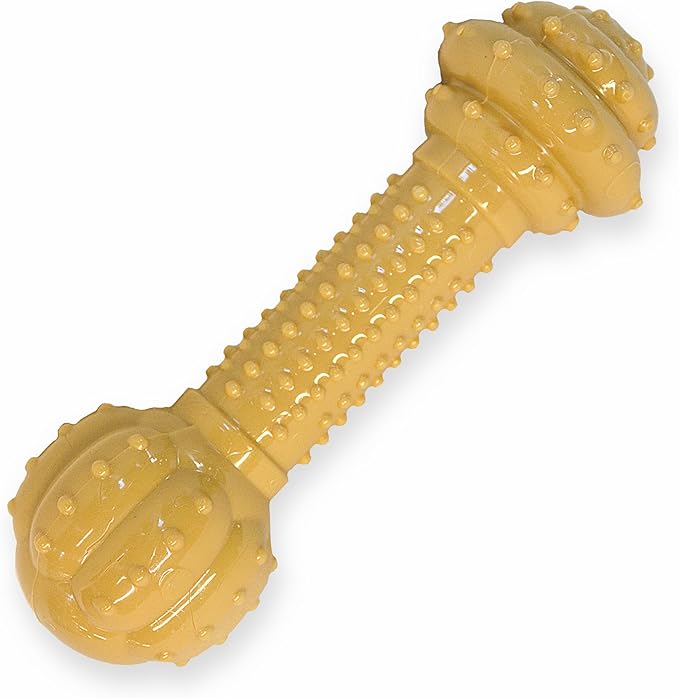 Nylabone Barbell Bone Power Chew Toy for Dogs, Dog Toys for Aggressive Chewers, Peanut Butter Flavor, Large - Up to 50 lbs, 1 Count