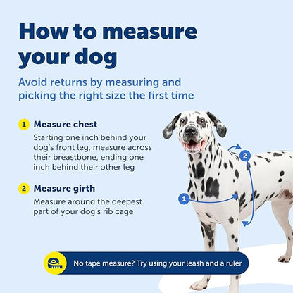 PetSafe Easy Walk Harness for Dogs - Pull-Free Walks - Martingale Loop Design - Front Chest Leash Attachment - Adjustable Comfort Straps - Breathable Harness Design - Small/Medium, Raspberry/Gray