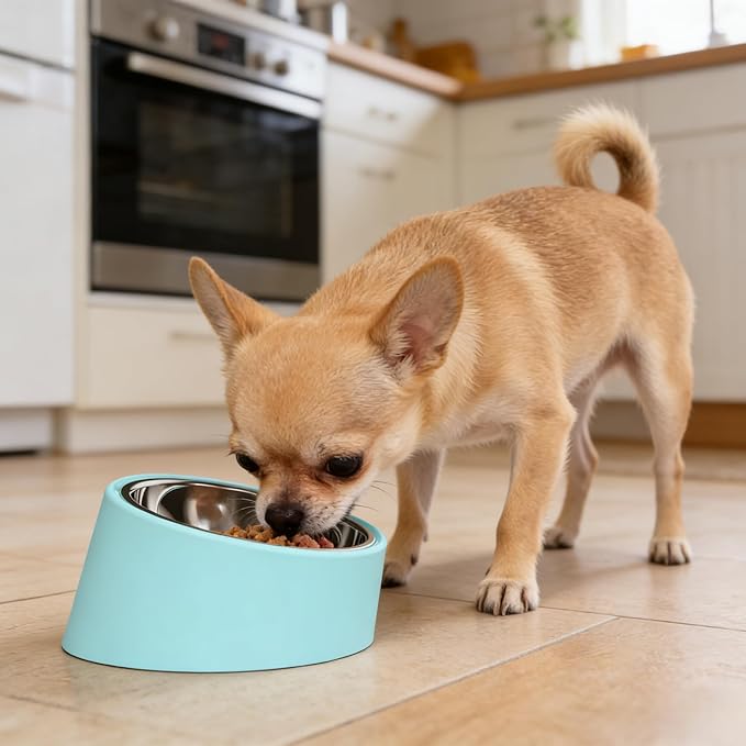 Slow Water Bowl for Dogs - Large Size Blue, 15 Degree Tilted Raised Pet Food Dish, Anti-Gulping Slow Feeder Water Bowl for Dogs