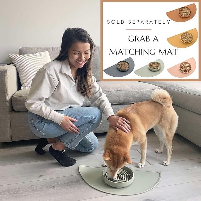 Should We Go? Slow Feeder for Dogs & Puppies, The Slowdown Bowl Silicone Slow Eating, Modern Lick Mat Design, Reduces Gulping, Fits 2.5 Cups, 9.5” Across x 1.5” Tall, Mealtime Challenge, Large-Blush