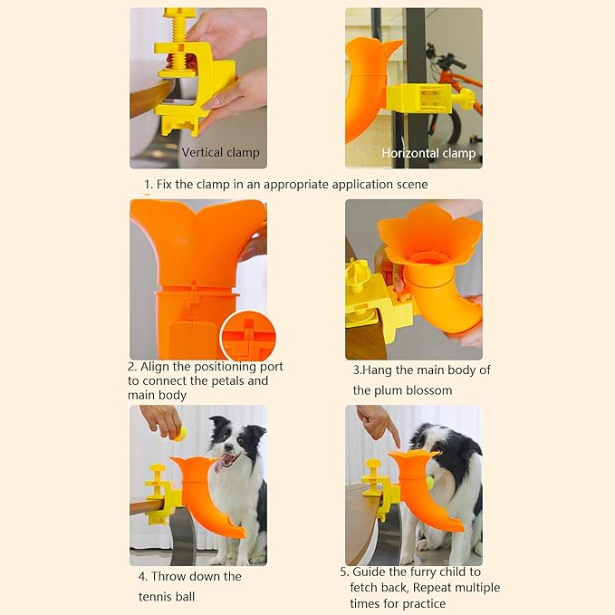 Automatic Ball Starter for Engaging Activity and Exercise Using Detection Technology