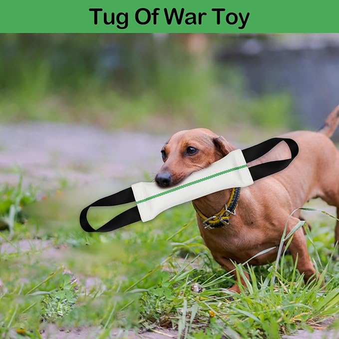 ASOCEA Dog Pool Toys,2-in-1 Dog Water Toys Interactive Tug Toys for Small to Large Dogs Bite Resistant Squeaky Floating Toy Perfect for Dock Diving Training Fetching Throwing Playing