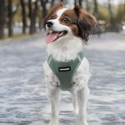 Best Pet Supplies - All Weather Mesh/Plush, Reflective, No Pull Harness for Small, Medium Dogs, Cats - Secure with Hook & Loop Fastener, Buckle, Double D-Rings - Moss Green, M