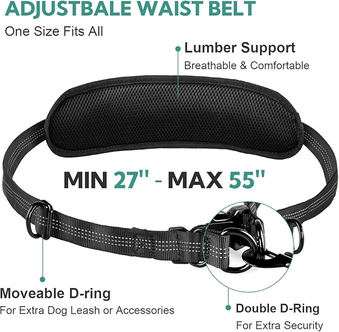 Hands Free Dog Leash, Retractable Bungee with Double Padded Handles, Waist Leash for Dog Walking for Medium & Large Dog Walking Accessories Mint-Green