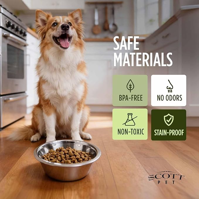 Scott Pet Bowl Stainless Steel 5 Quart,Silver (Pack of 2)