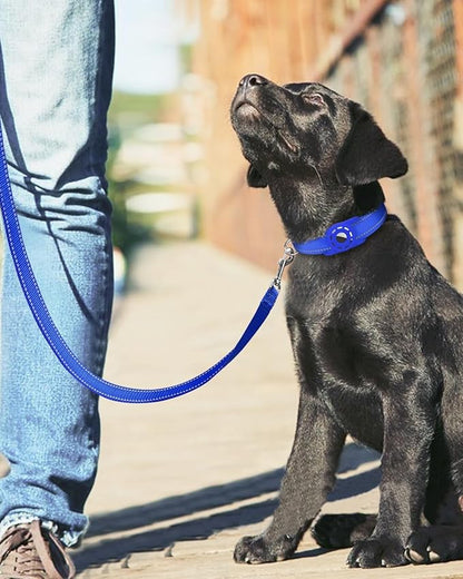 Reflective Dog Leash 6ft Soft Padded Handle Nylon Lead for Medium & Large Dogs, Durable Walking Training Leash for Night Safety (Royal Blue,1Inch Wide)
