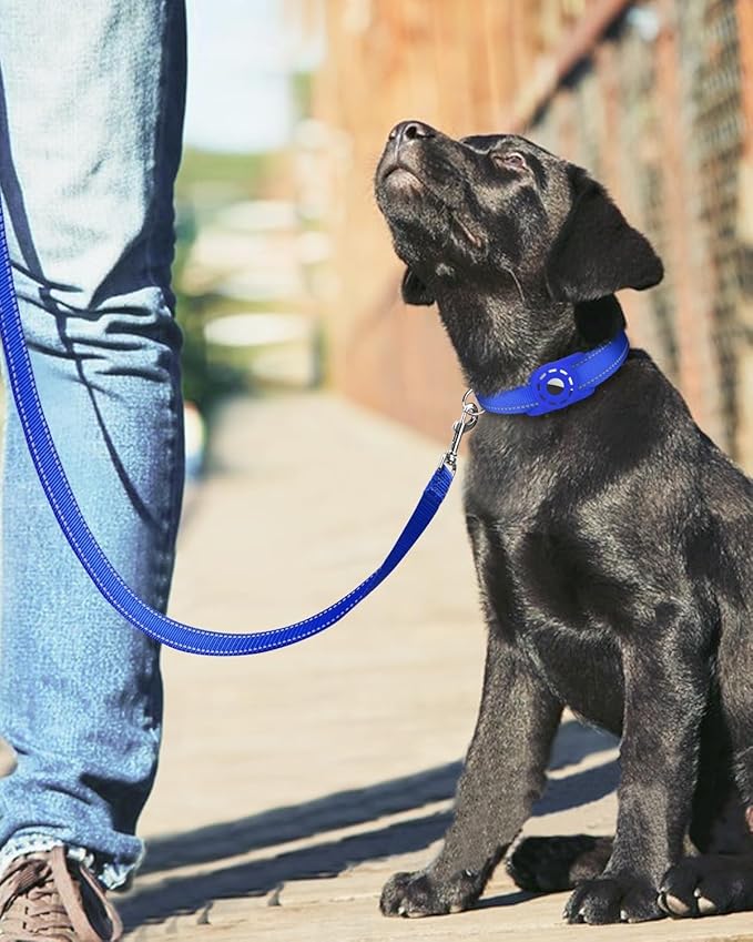 Reflective Dog Leash 4ft Soft Padded Handle Nylon Lead for Small & Medium Dogs, Durable Walking Training Leash for Night Safety (Royal Blue,3/4Inch Wide)
