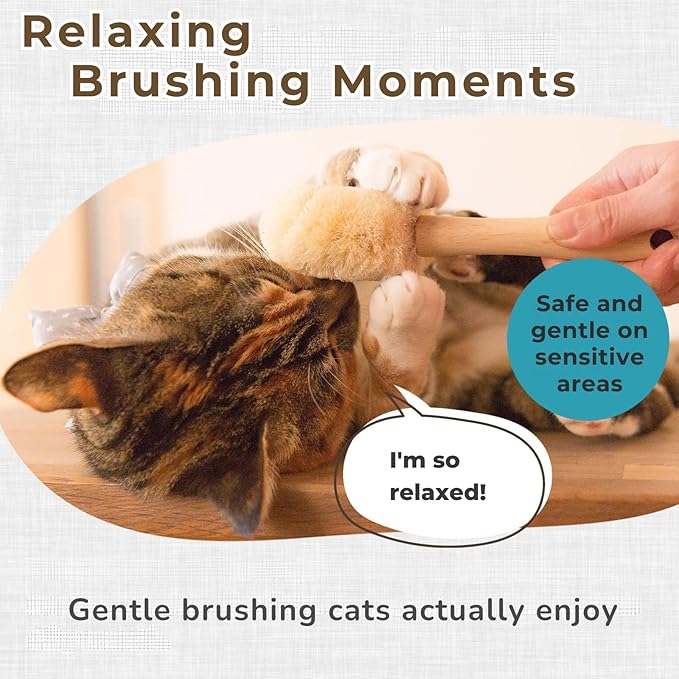 Gentle Cat Brush for Indoor Cats – Soft Daily Grooming & Massage Brush for Sensitive Cats & Kittens, Removes Loose Surface Fur (Not a Deshedding Tool), Natural Sisal, Made in Japan (Type-A)