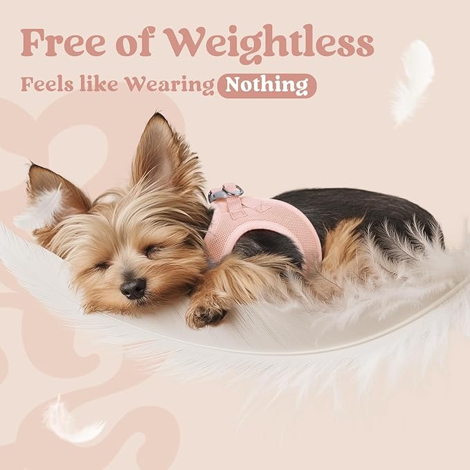 rabbitgoo Small Dog Harness, Step-in Soft Mesh Puppy Vest with Safety Buckle, Breathable Reflective Pet Harness for Small Sized Dogs, Pink XS