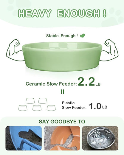 TRUVIC Ceramic Slow Feeder Dog Bowls, 1.5 Cup Puzzle Slow Feeder Bowls for Fast Eaters, Ceramic Dog Food Dish no Black Chin, Puzzle Bowl for Medium Dogs, Green