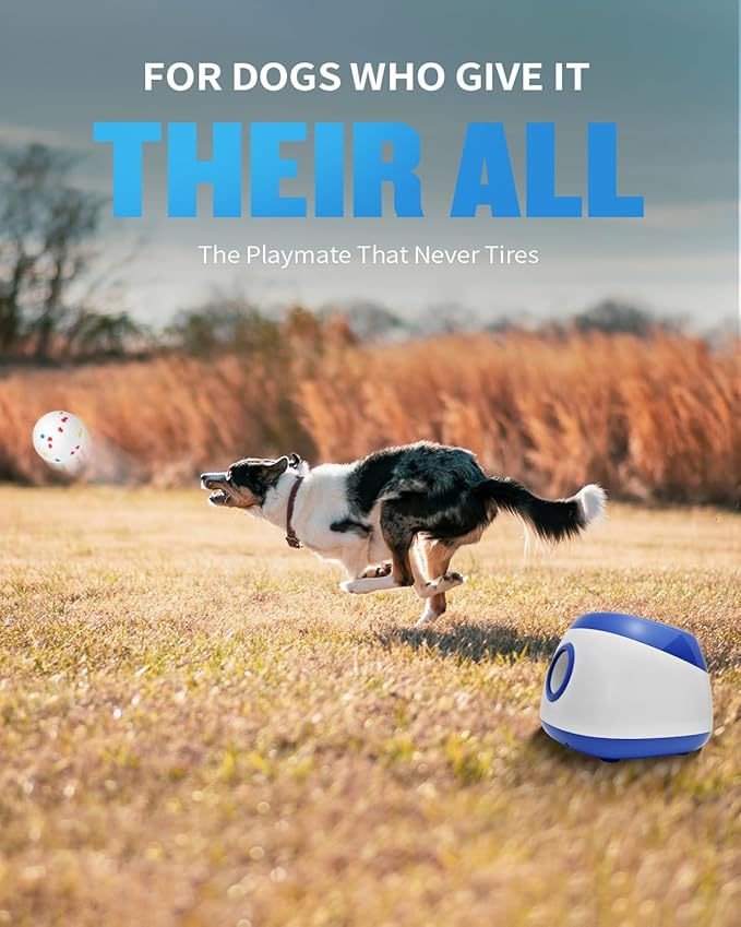 Automatic Ball Thrower for Dogs, Ball Launcher for Dogs - 2.5" Dog Balls * 6Pack (Blue)