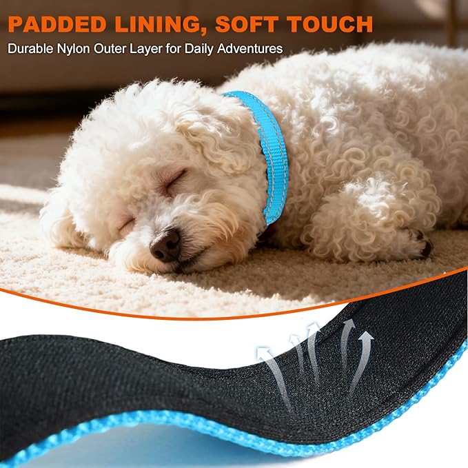 Taglory Reflective Dog Collar with Safety Locking Buckle, Soft Neoprene Padded Dog Collar for Puppy Dogs, Metal D-Ring, Adjustable Nylon Neck Strap for Daily Walking, Training & Running, Sky Blue, XS