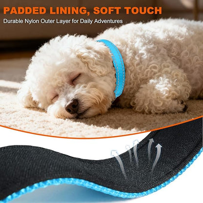 Taglory Reflective Dog Collar with Safety Locking Buckle, Soft Neoprene Padded Dog Collar for Puppy Dogs, Metal D-Ring, Adjustable Nylon Neck Strap for Daily Walking, Training & Running, Sky Blue, XS