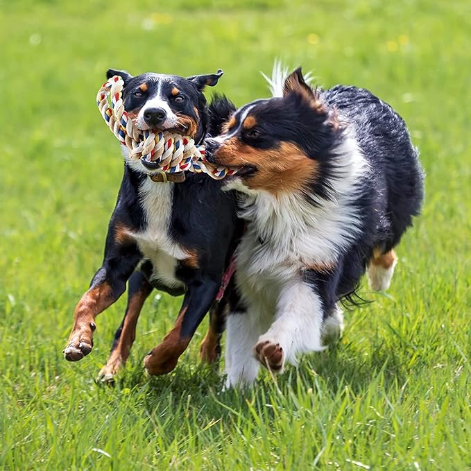 PawfectPals Indestructible Tough Twisted Dog Chew Rope Toy Teething and Tug of War for Large Dogs (Double Grip Loops and Knots)